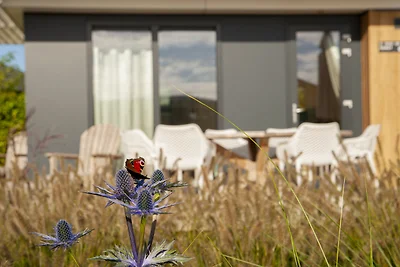 Duin Lodge Family 6 Personen