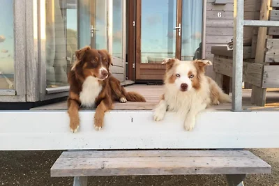 Domek letniskowy Urlop wypoczynkowy Nieuwvliet