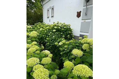 VillaMina