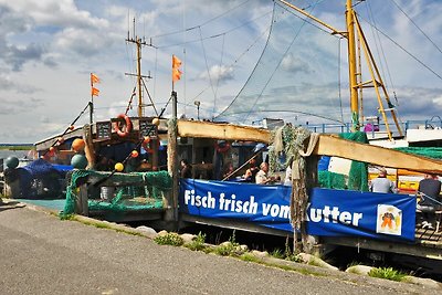 Marina Wendtorf Yachtenkieker