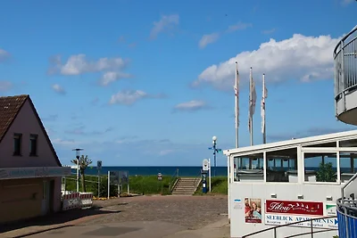 Promenade 18 Seepferdchen