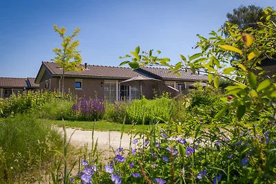 Bungalow Heuveltjes für 4 Personen