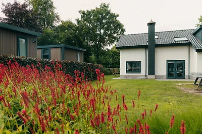Groepsvilla + Lodges | 24 + 4 personen