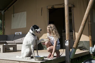 Luxe Safaritent | 6 personen