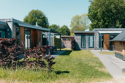 Veluwe-Villa mit Sauna und Grillhaus für 6 + ...