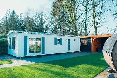 Die Veluwe-Lodge Wellness-Plus für 4 Personen