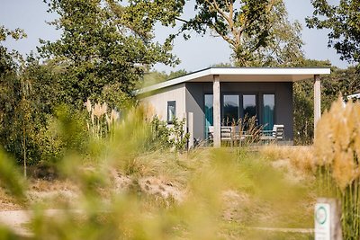 Beachlodge | Hafen