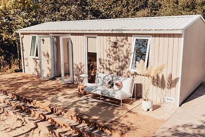 Sunset Lodge Newborn