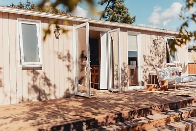 Sunset Lodge Newborn