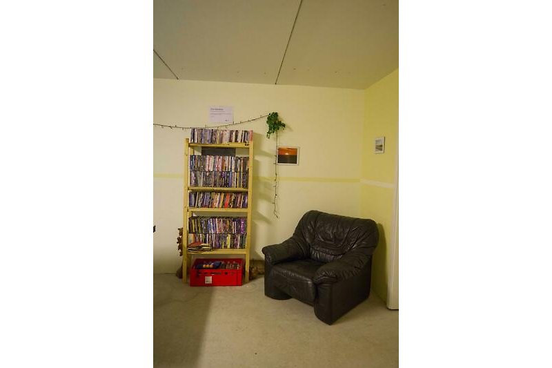 Regal mit DVD's und einem Sessel im Spielraum im Keller des Ferienhauses