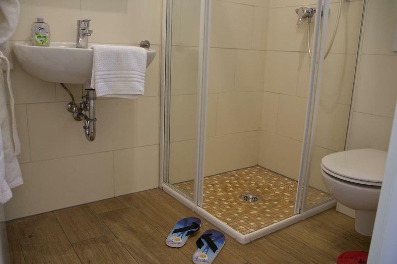 Dusche, WC und Waschbecken im Badezimmer im Erdgeschoss der Inselblume 28