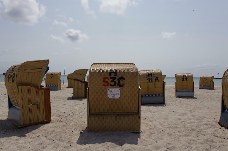 Strandkorb der Inselblume 62