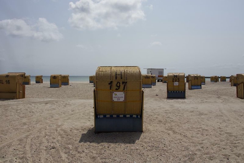 Strandkorb der Inselblume 29