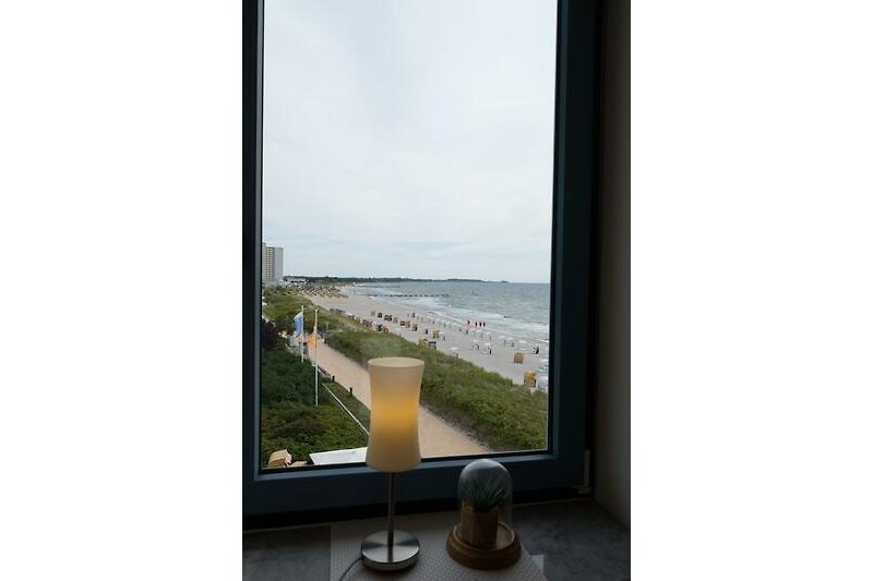 Blick aus dem Fenster in der Ferienwohnung Inselblume 03 auf Fehmarn