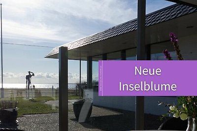 Inselblume 82 - Bungalow am Südstrand mit...