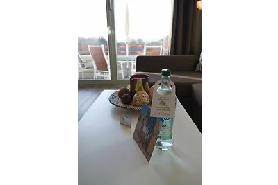 Inselblume 46 - Ferienwohnung in Burg mit Bal...