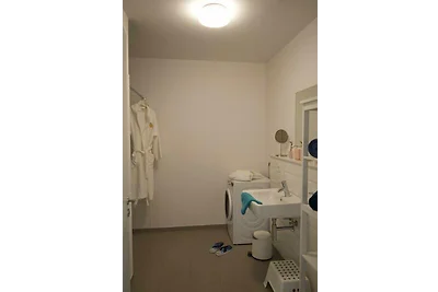 Inselblume 46 - Ferienwohnung in Burg mit Bal...