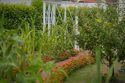 Vakantieappartement Gezinsvakantie Burg auf Fehmarn