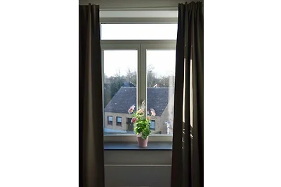 Inselblume 46 - Ferienwohnung in Burg mit Bal...