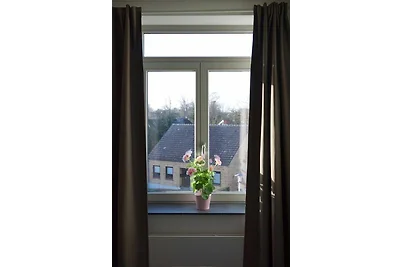 Inselblume 46 - Ferienwohnung in Burg mit Bal...