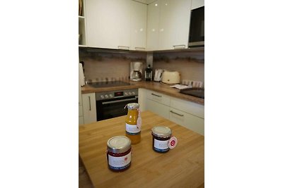 Appartement Vacances avec la famille Burg auf Fehmarn