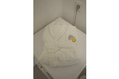 Inselblume 46 - Ferienwohnung in Burg mit Bal...