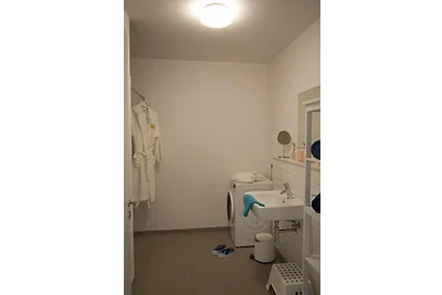 Inselblume 46 - Ferienwohnung in Burg mit Bal...