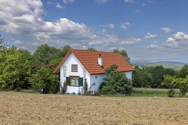 Charmantes Landhaus mit Garten, Bäumen und weitem Himmel.