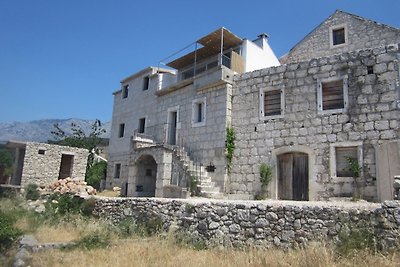 Haus Mate