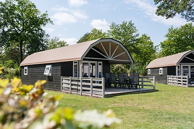 Vechtdallodge für 6 Personen