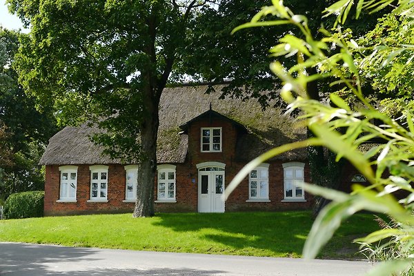 Ferienwohnung Koldenbüttel