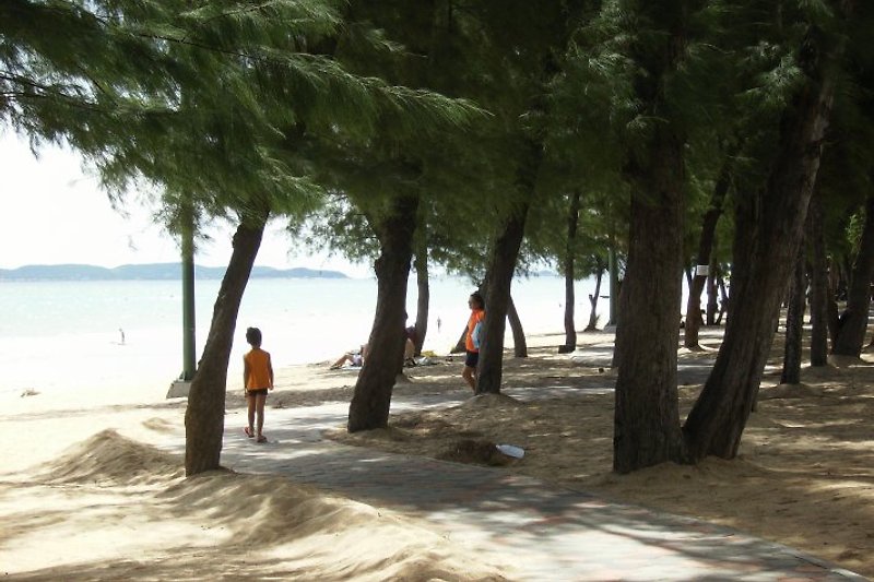 Dongtan-Beach