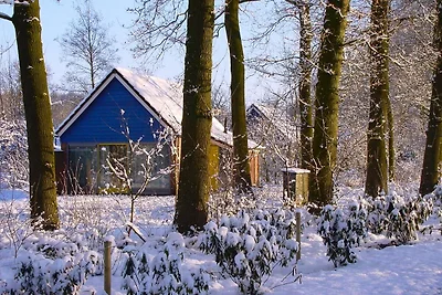 Bungalow Ijssel Comfort für 4 Personen