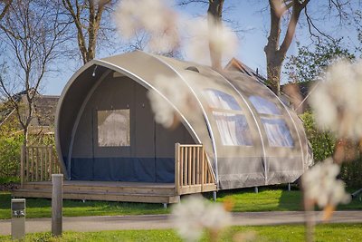 Big Oak Tent | 6 personen