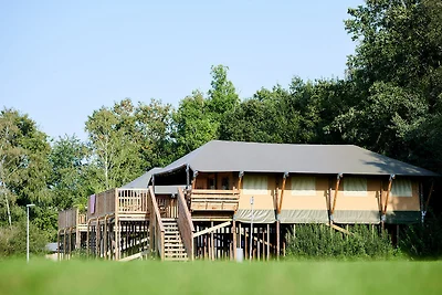 Safarihütte XL für 6 Personen