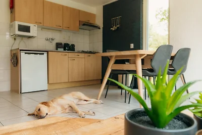 4 - 8-Personen-Bungalow IJssel Plus