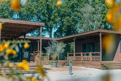 Tiny Wander Lodges | 12 Personen