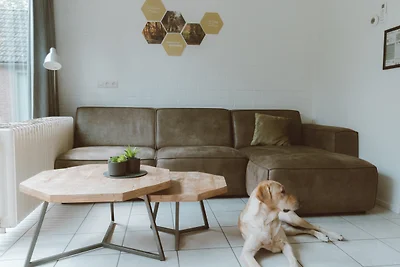 Bungalow Ijssel für 4 Personen Plus