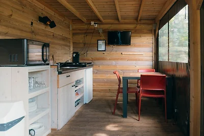 Casa vacanze Vacanza di relax Nieuw Heeten