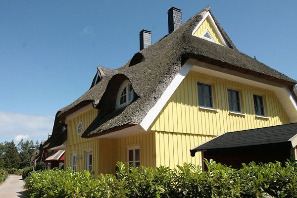 Ferienhaus Born