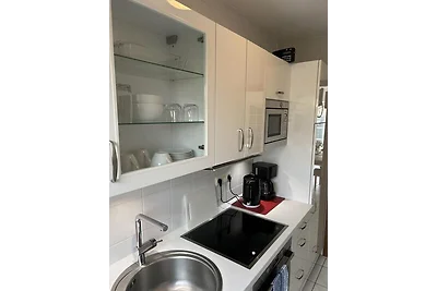 Kiebitznest