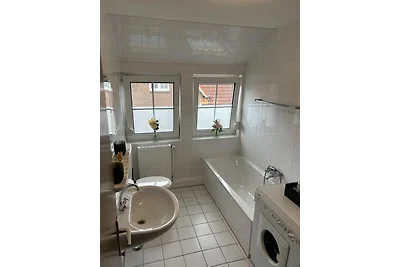 Kiebitznest