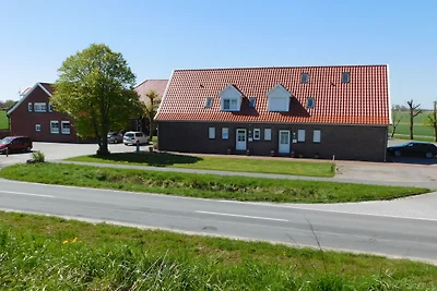 Moderne FeWo am Deich No. 25