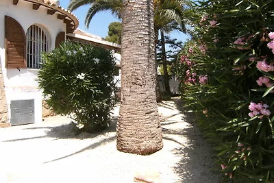 Haus "SIESTA"