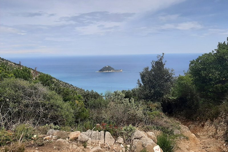 Blick auf die Isola Gallinara