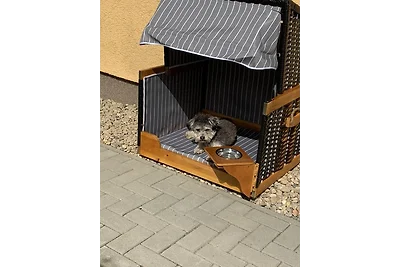 5 * Wellness Ferienhaus Bergheide