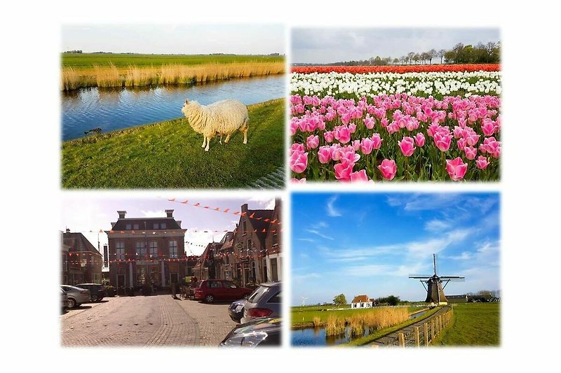 Impressionen Makkum und Umgebung