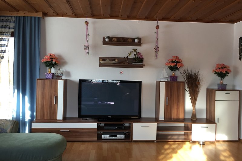 großer 55" Plasma-Sat-TV, DVD-Player uvm. im Wohnzimmer unserer großen Fewo1-Heigl aufm Amesberg ca. 700m-830m ü. NN