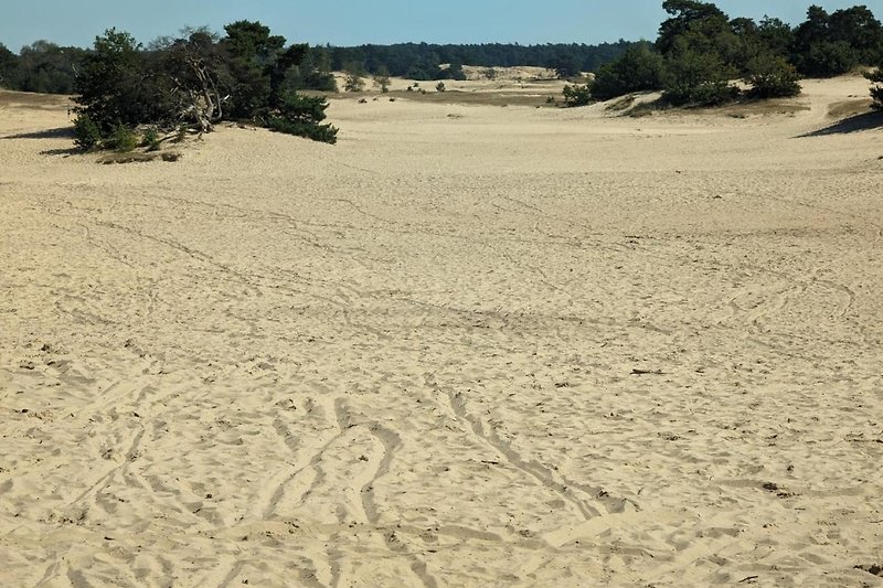 Prachtig duinlandschap met zand, gras en zee.