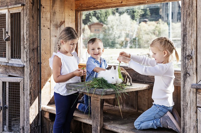 Streichelzoo und Bauernhof-Leben für die Kleinen